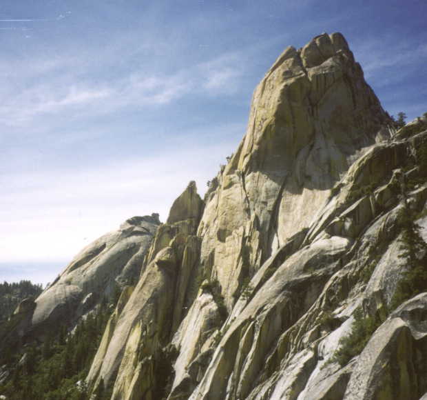 picture of the needles