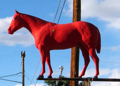 picture of red horse 